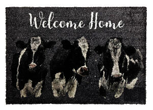 Washable Lux Door Mat Not Amoosed