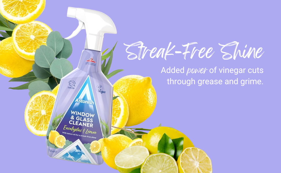 Astonish Window & Glass 750ml