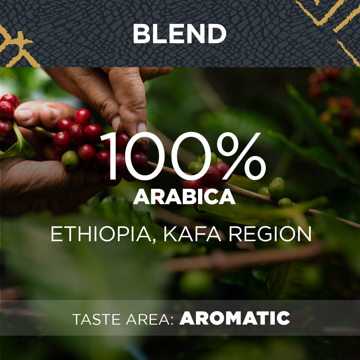 Lavazza Kafa Premium Coffee Beans 500g - NWT FM SOLUTIONS