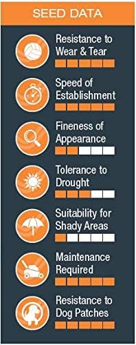 Johnsons Lawn Seed With Rye 20kg Grass | Covers upto 80m2 | Tough Grass