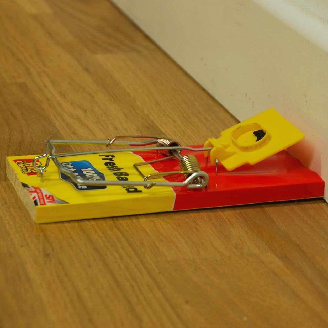 The Big Cheese Fresh Baited Rat Trap