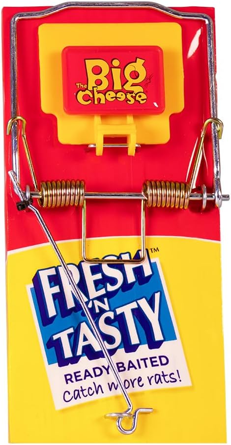The Big Cheese Fresh Baited Rat Trap