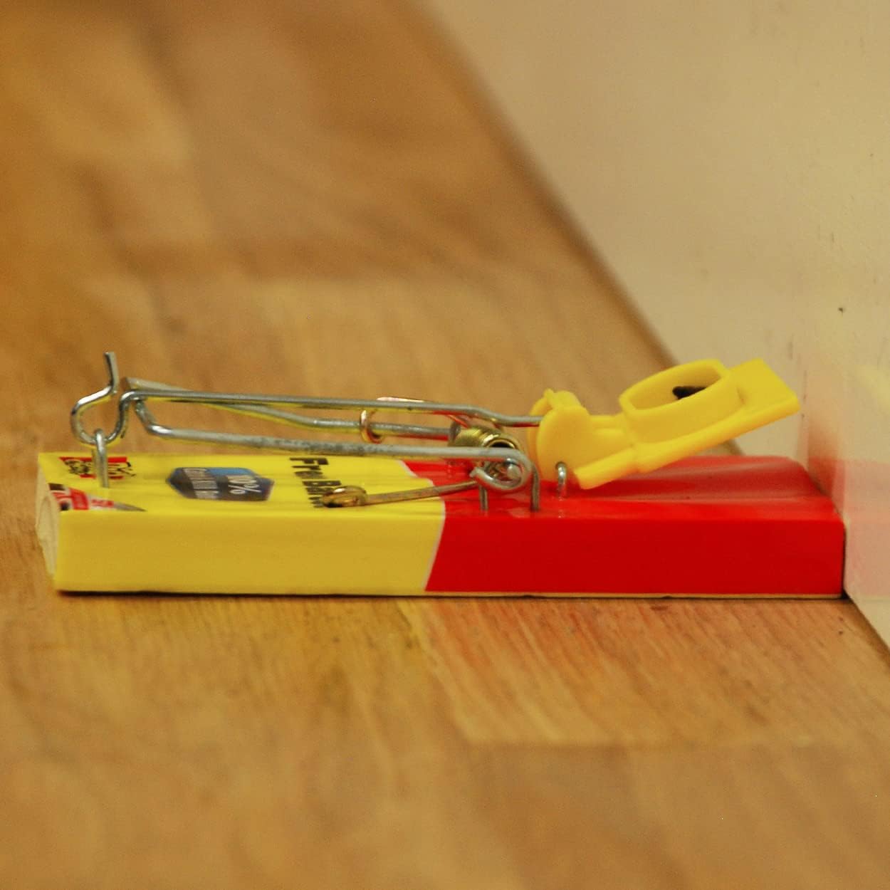 The Big Cheese Fresh Baited Mouse Trap | Indoor Outdoor | Reusable