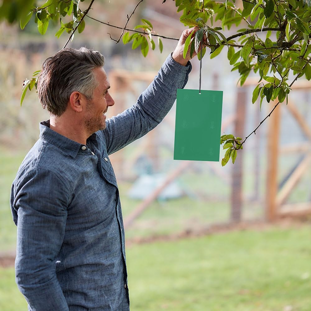 Defenders Horse Chestnut Leaf Miner Pheromone Trap - Twinpack, Refillable