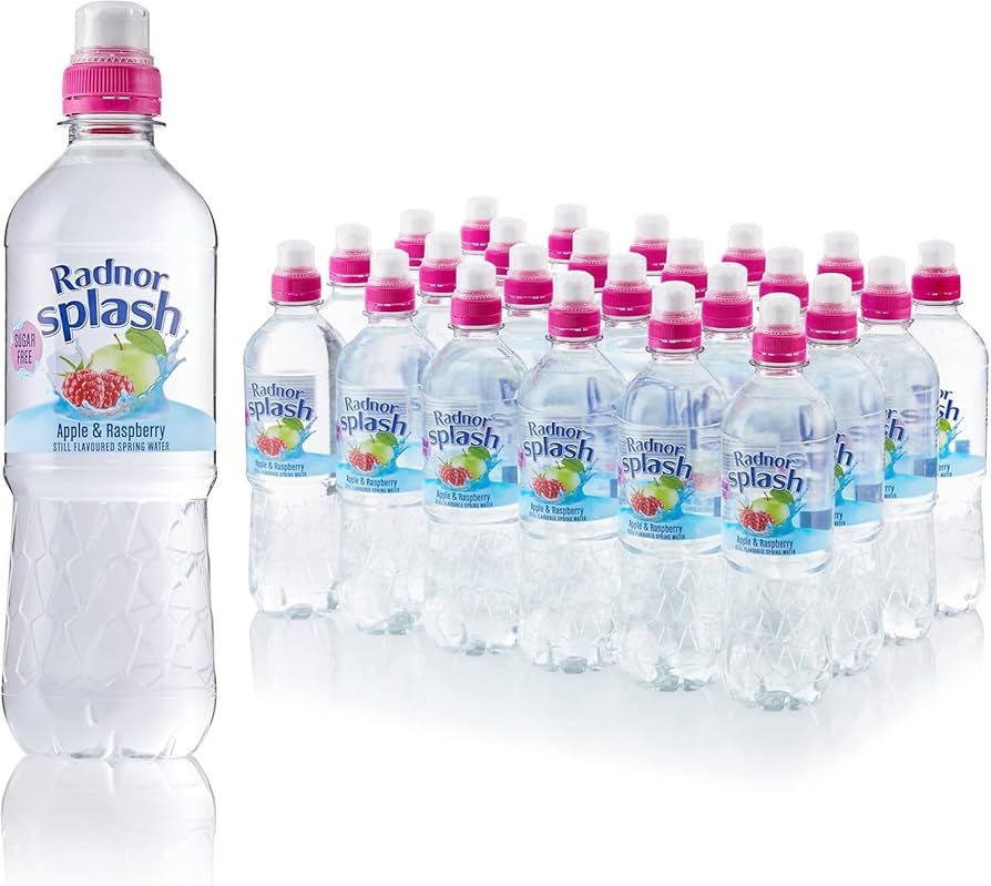 Radnor Splash Sugar Free Apple & Raspberry 24x500ml