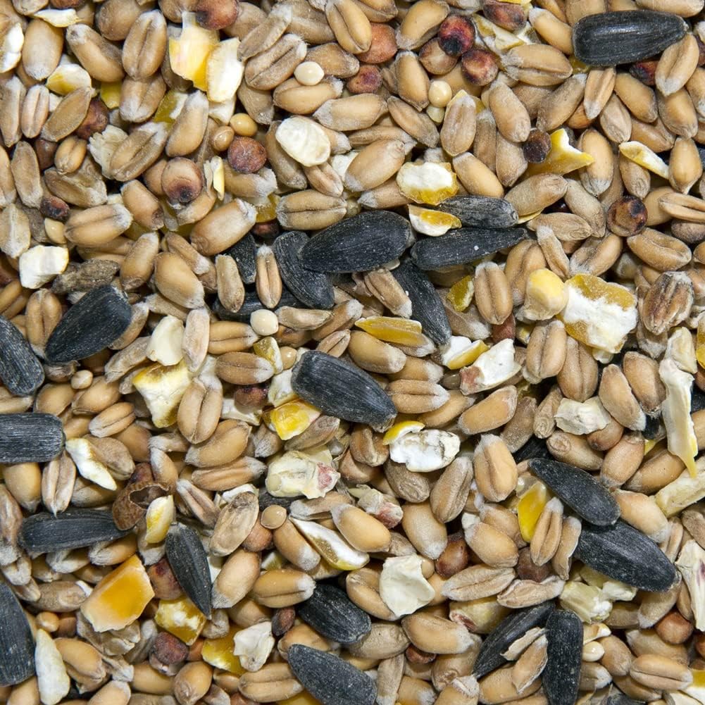 Ambassador Quality Wild Bird Food 1kg