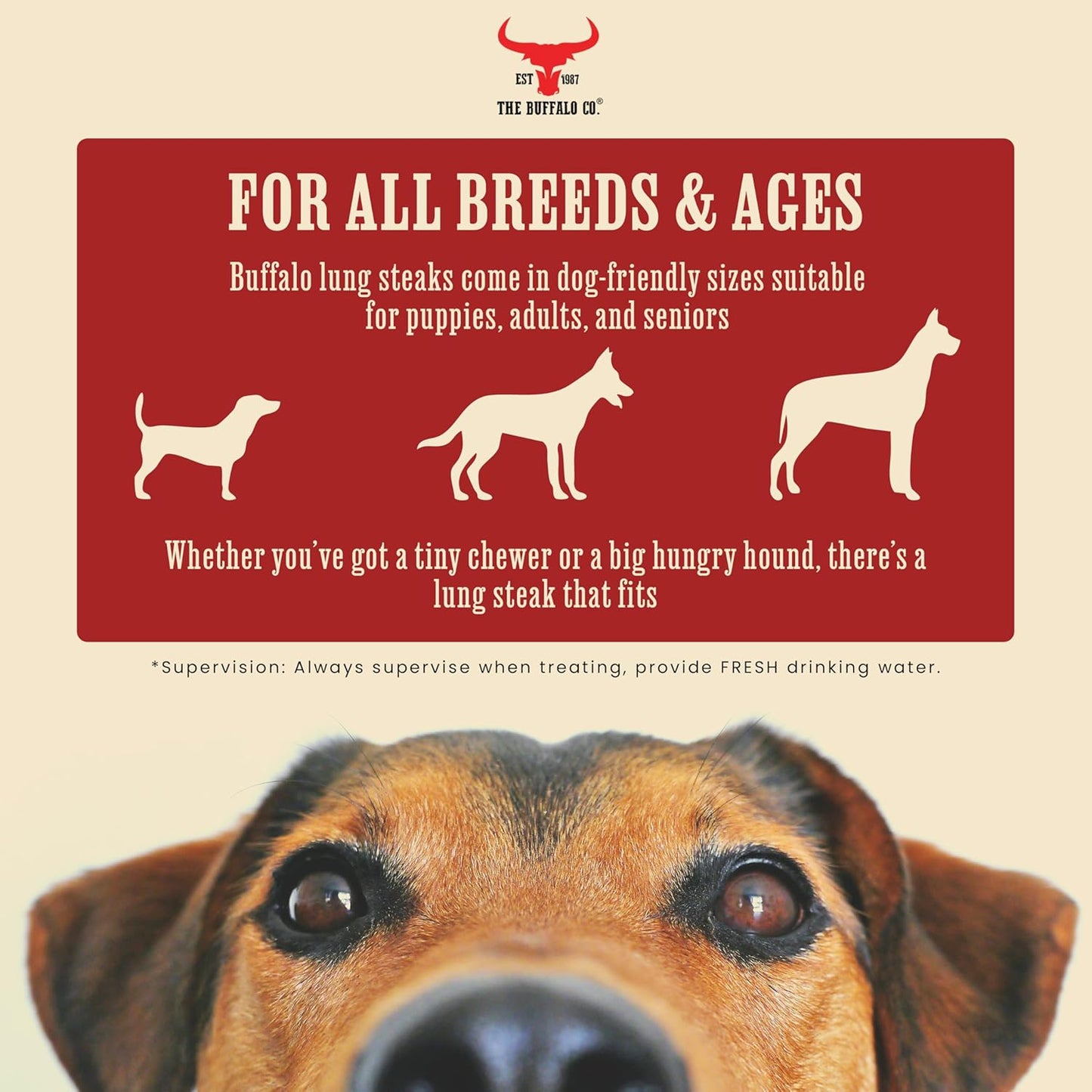 The Buffalo Co. Buffalo Lung Steaks for Dogs | 100% Natural | Dog treats | 1 x 100g