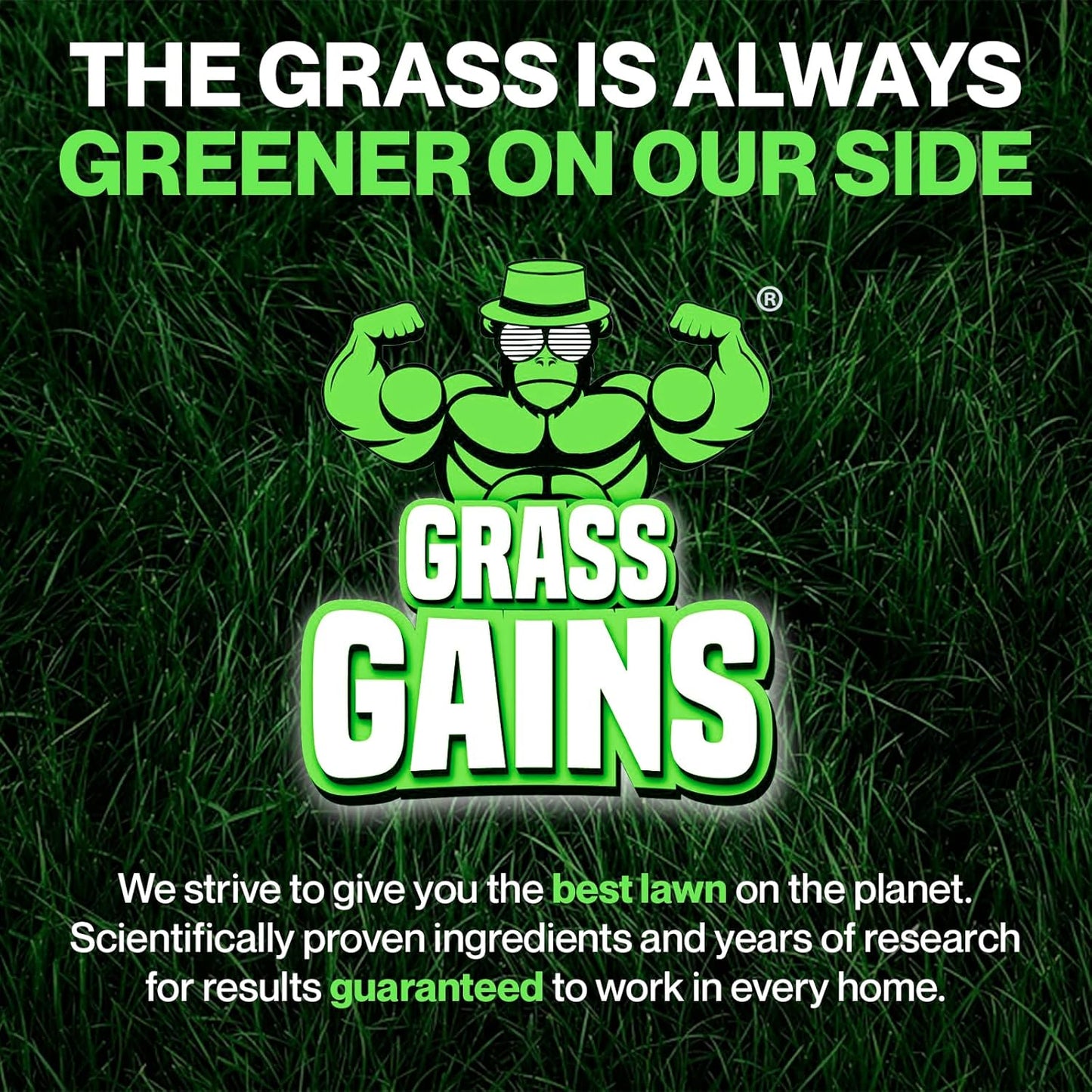 Grass Gains Super Seed 1KG, Fast Growth Lawn Seed