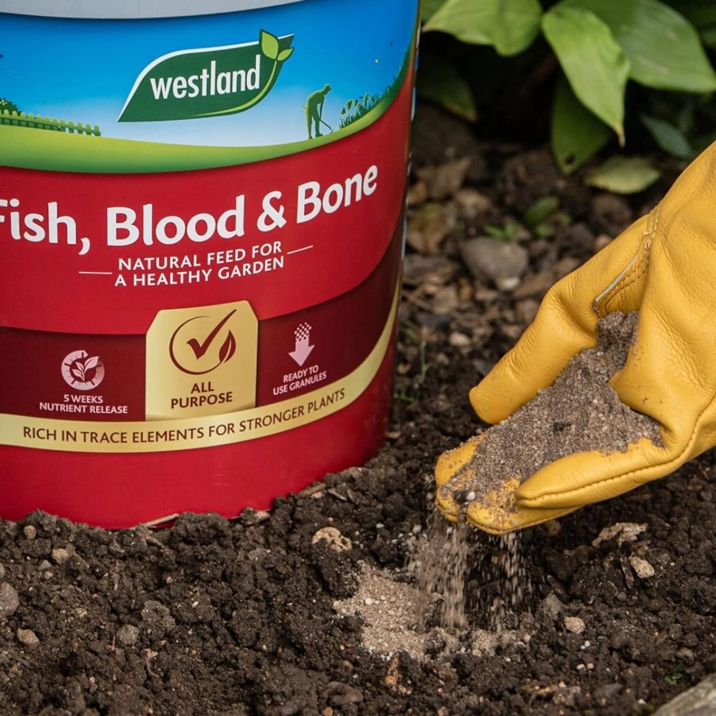 Westland Fish, Blood and Bone All Purpose Plant Food 8kg