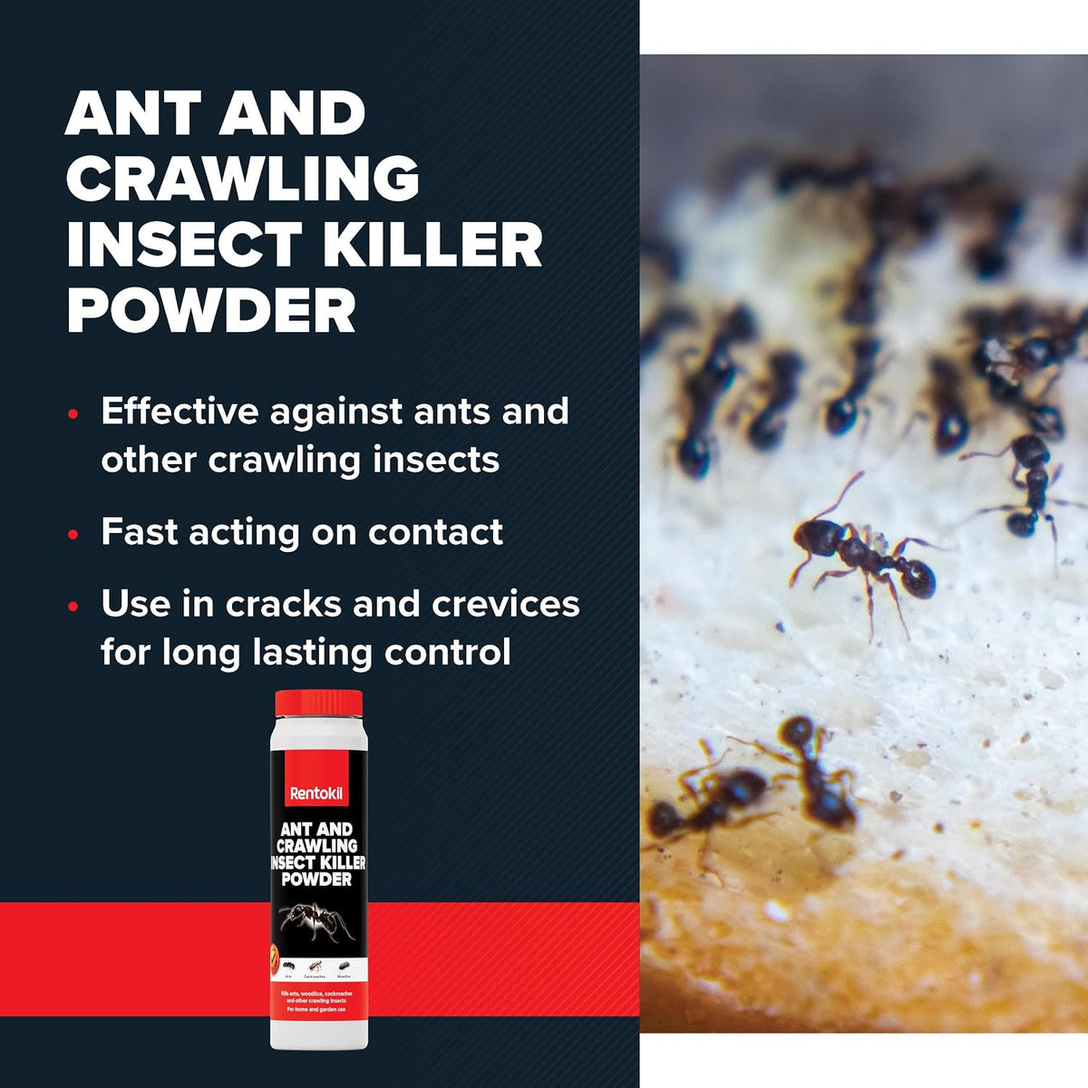 Rentokil - Psa201 - Ant & Insect Killer Powder - 300G
