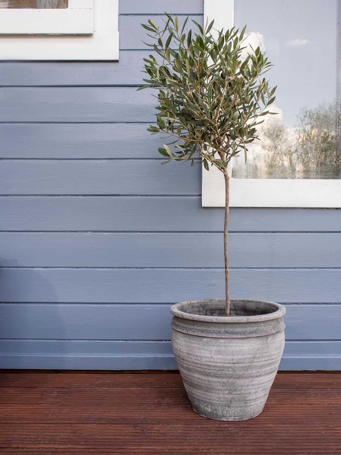 Ronseal 5 Litre Fence Life Plus Paint - Cornflower