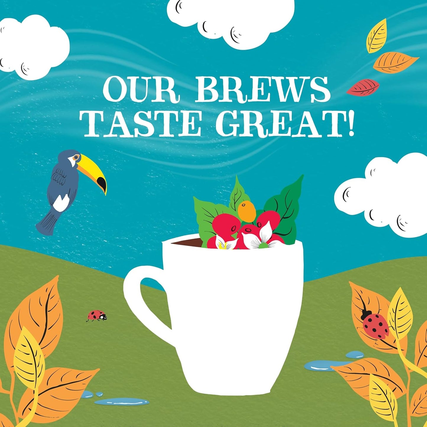 Clipper Fairtrade Organic Italian Style Coffee 227g