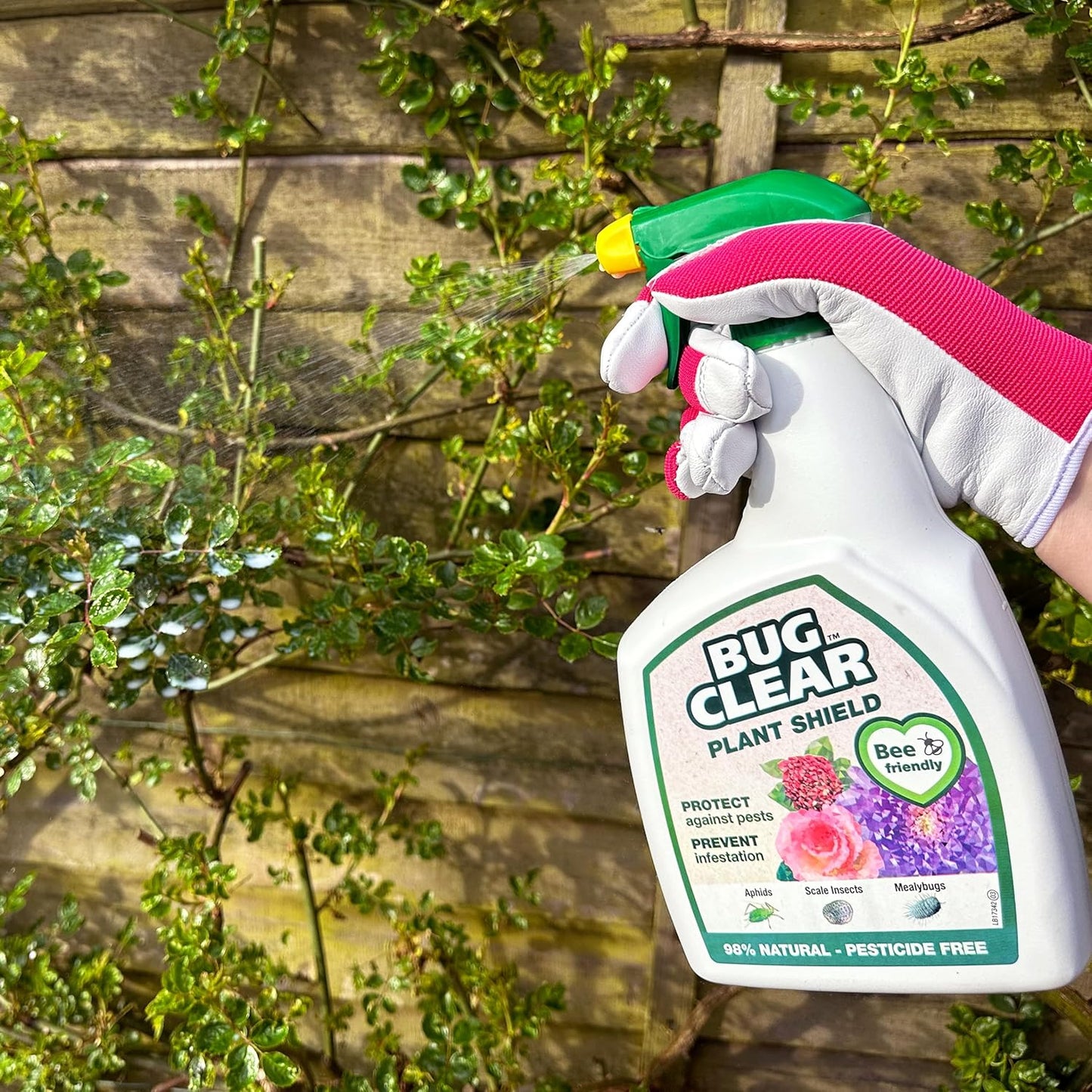 Bugclear Plant Shield | Insecticide Free | All Year Plant Protection Spray 800ml