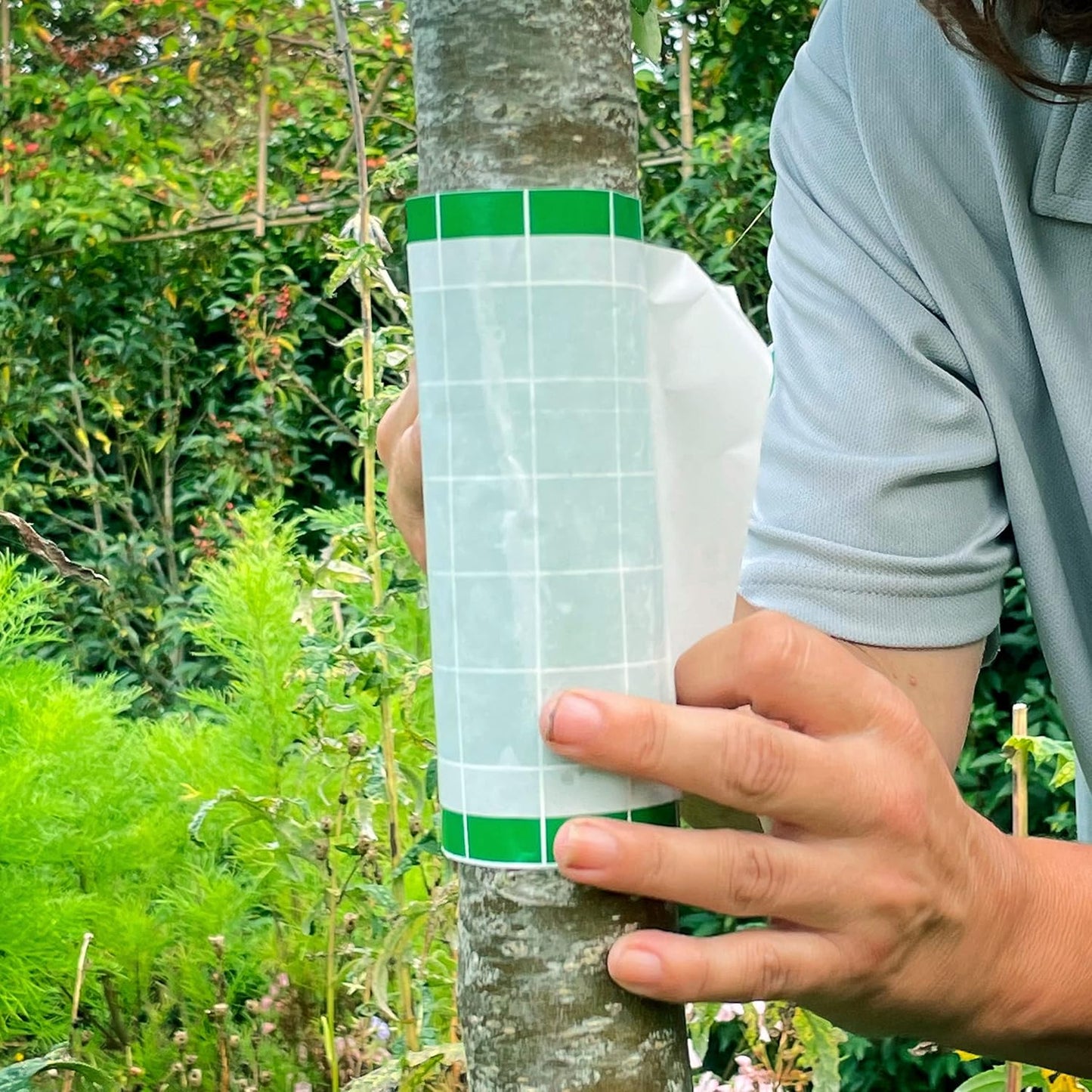 BugClear™ Insect Glue Barrier 5 Metre