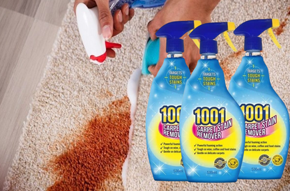 1001 Carpet Trouble Shooter Stain Remover 500ml