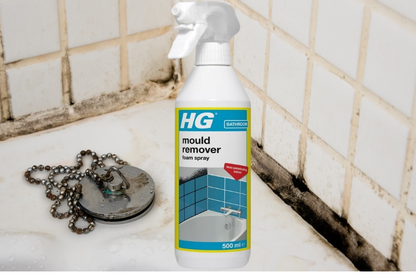 HG Mould Remover Foam Spray 500ml