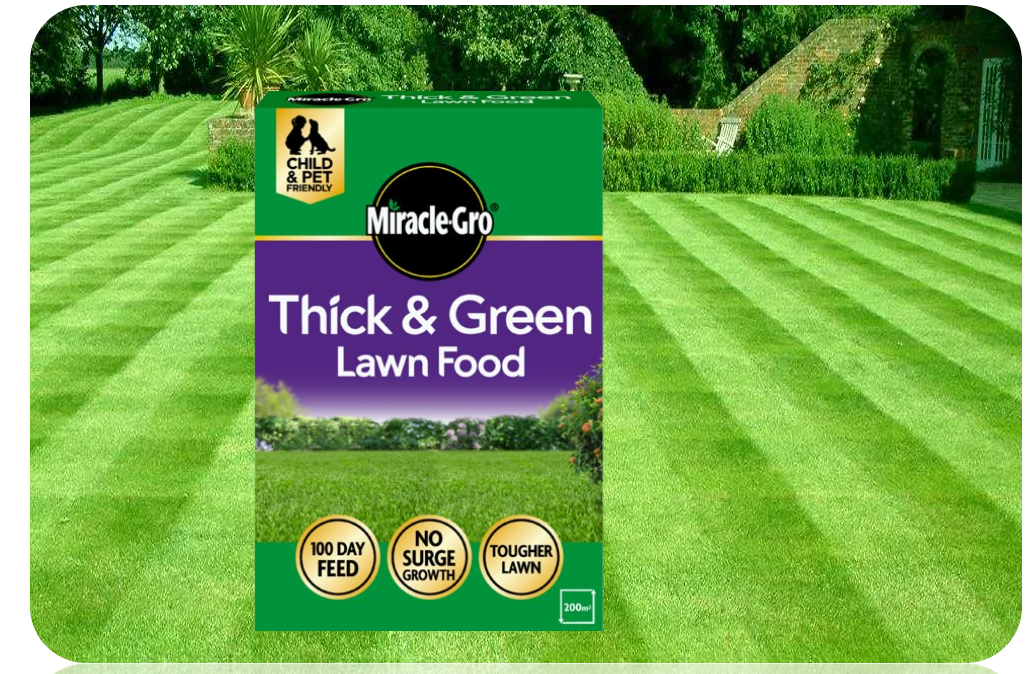 Miracle-Gro EverGreen Premium Plus Thick & Green Lawn Food - 200 m2