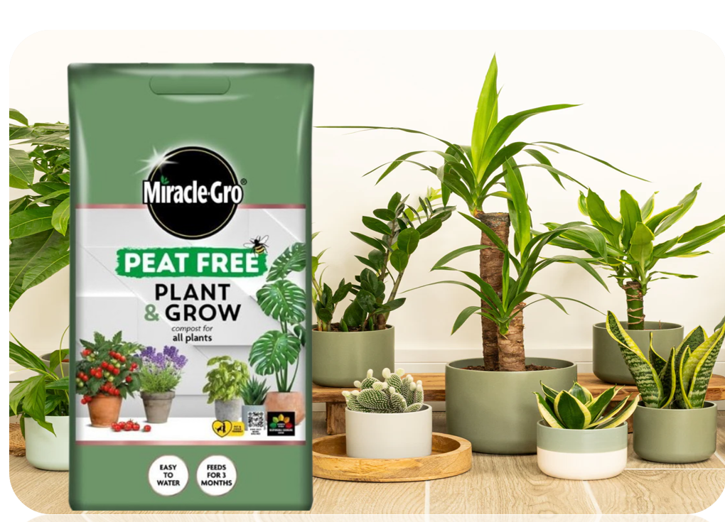 Miracle Gro All Purpose Plant & Grow | Suitable for all Plants | Litre