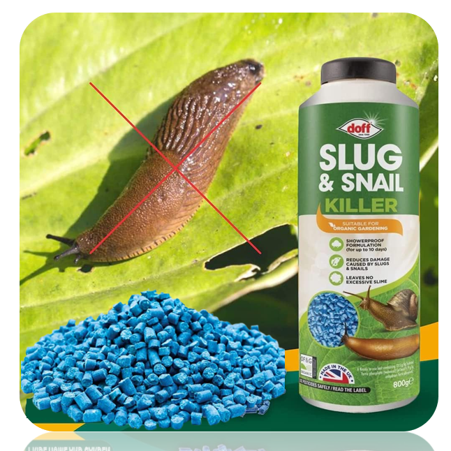 Doff Organic Slug & Snail Killer 800g Ferric Phosphate + 15% Free.