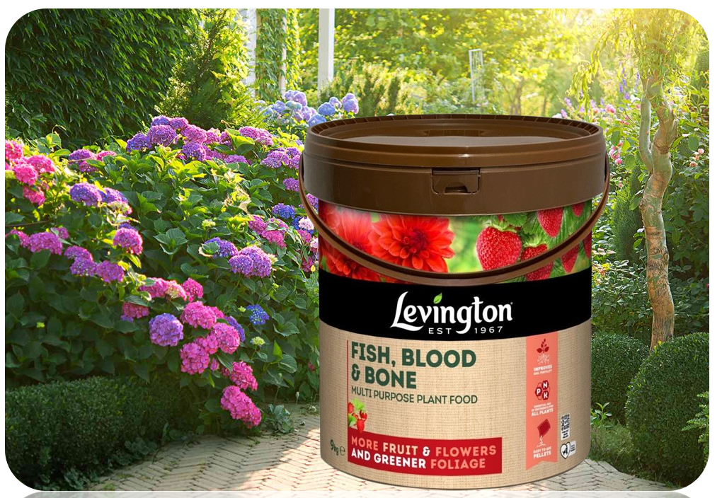Levington Fish Blood & Bone | More fruit & Flowers | Greener Foliage | 9kg Tub