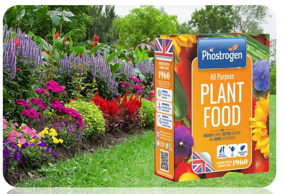 Phostrogen All Purpose Plant Food 400g = 40 can