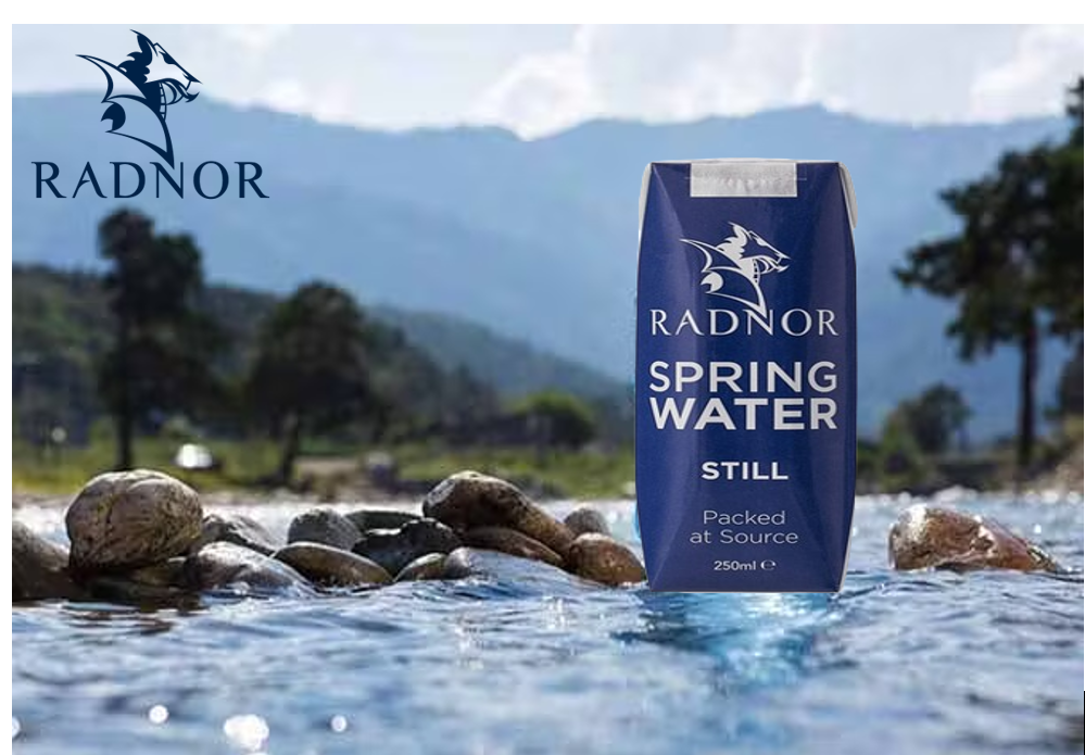 Radnor Hills Spring Still Water 24x250ml Cartons