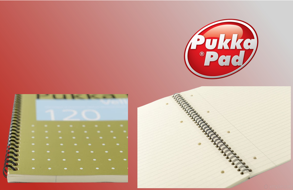 Pukka Pads Metallic Vellum A4 Notebook