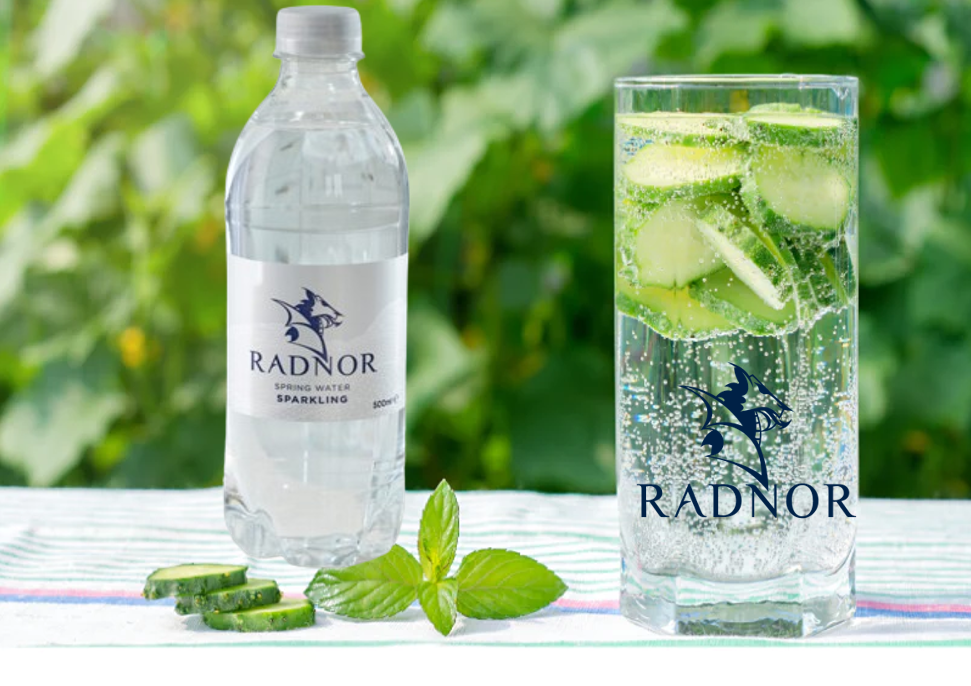 Radnor Hills Spring Sparkling Water 24x500ml