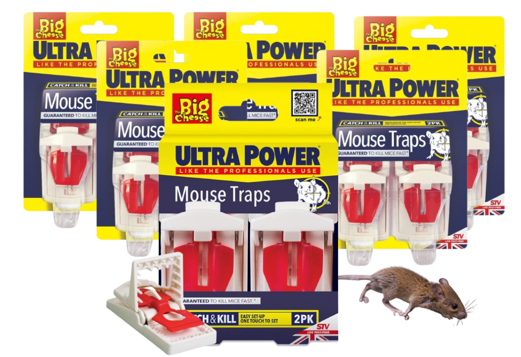 Big Cheese Ultra Power Mouse Traps TwinPack (STV148)