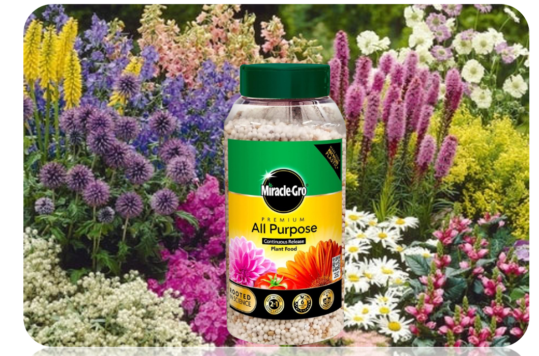 Miracle-Gro Continuous Release All Purpose Plant Food, 900g