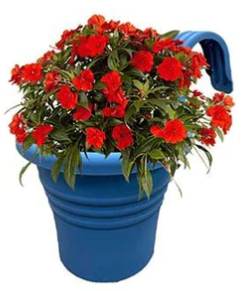 Fixtures Hang Easy Single Blue Planter