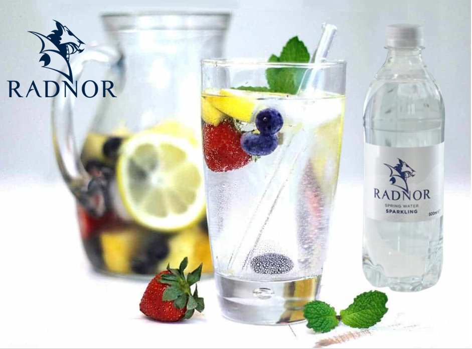 Radnor Hills Spring Sparkling Water 24x500ml