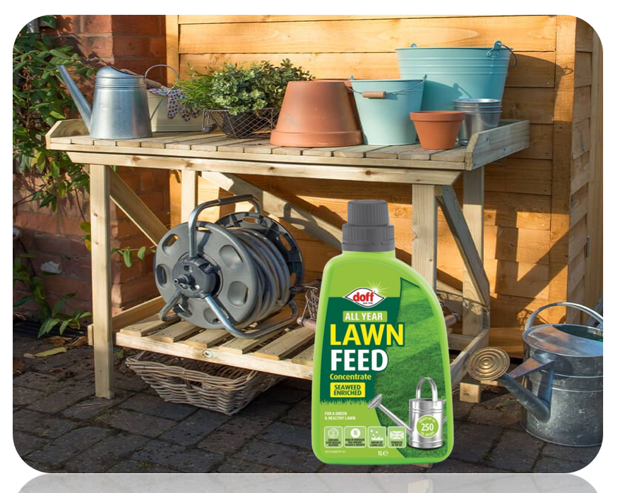Doff All Year Lawn Feed | Highly Concentrated Liquid | 1L = 250m2 RTU Feed