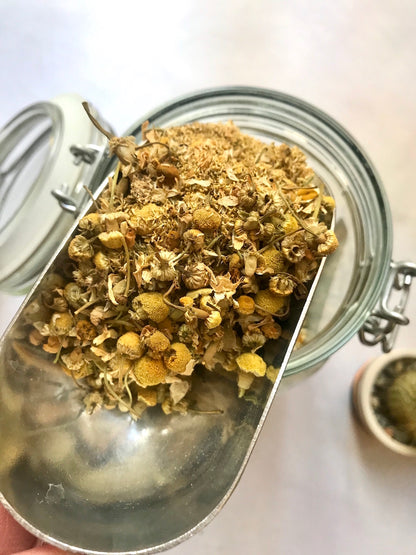 Teapigs Chamomile Leaves Loose Tea Made With Whole Leaves (1 x 100g)