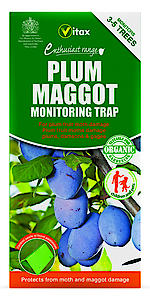 Plum Maggot Trap 1 trap