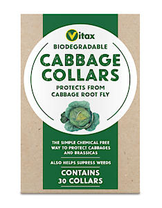 Cabbage Collars 30