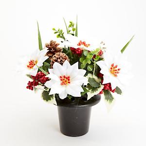 EverlastingBlooms WHT Poinsettia