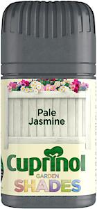CX GS PALE JASMINE 125ml