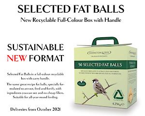 Fatballs In A Box 50 X 85G Fbe50