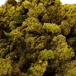 Oasis Finland Moss Light Green