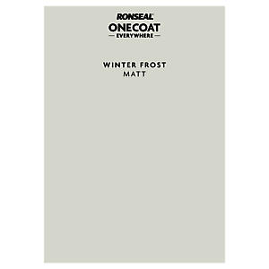 P&S ONE COAT EVERYWHERE FROST