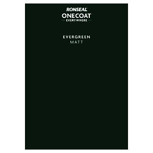 P&S ONE COAT EVERYWHERE EVERGREEN