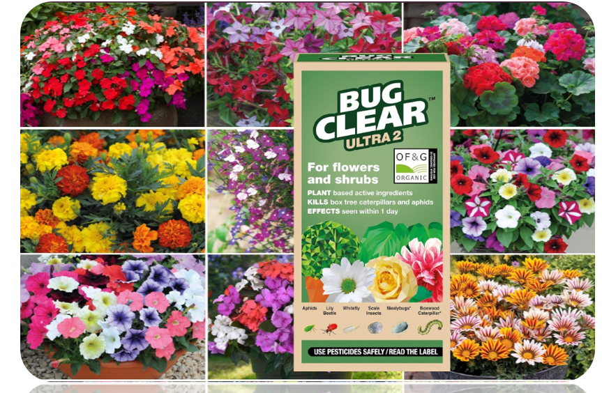 Bugclear Ultra 2 Insecticide, For Flowers And Shrubs, Concentrate, 200ml