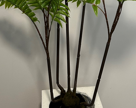 Fixtures Artificial Green Fern Tree 120-125cm
