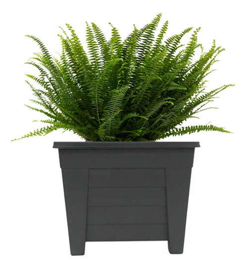 Fixtures Grosvenor Square Planter Black/Ebony 27cm