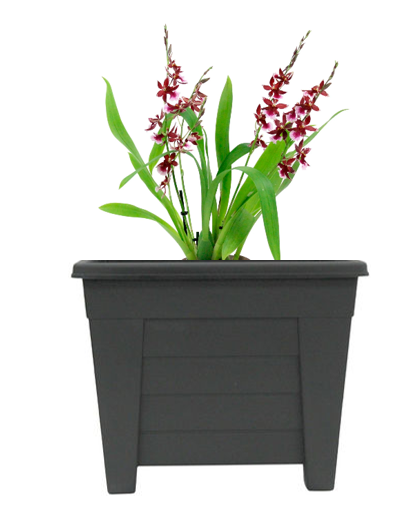 Fixtures Grosvenor Square Planter Black/Ebony 27cm
