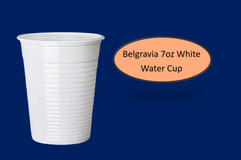 7oz White Plastic Water Cups 100's