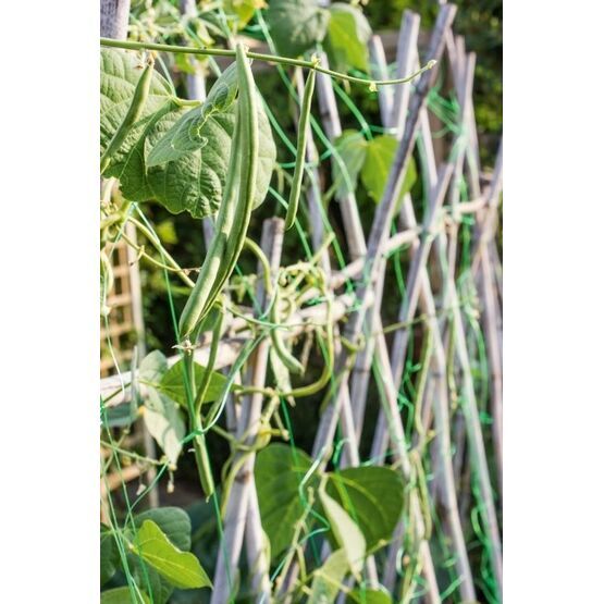 Apollo Pea And Bean Net With 153mm Mesh 10m x 2m