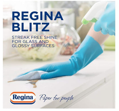 Regina Blitz XL Kitchen Towel {New 140 Sheet 3ply, Twin Pack,Paper Pack)