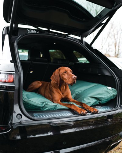 Danish Design County Deep Filled Duvet Style Pet/Dog Bed Large Green CODDL
